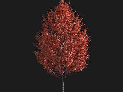 Beautiful Vibrant Autumn Arbor With Red Foliage Isolated On Black Background 3d model