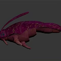 Vibrant Pink Beetle With Shiny Purple And Gold Spots On Body And Long Antennae