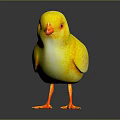 Cute Yellow Flying Animal Baby Chick With Orange Beak And Feet Standing On Black Background