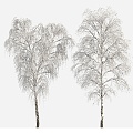 Plants Trees Big Trees Winter Trees 3d model