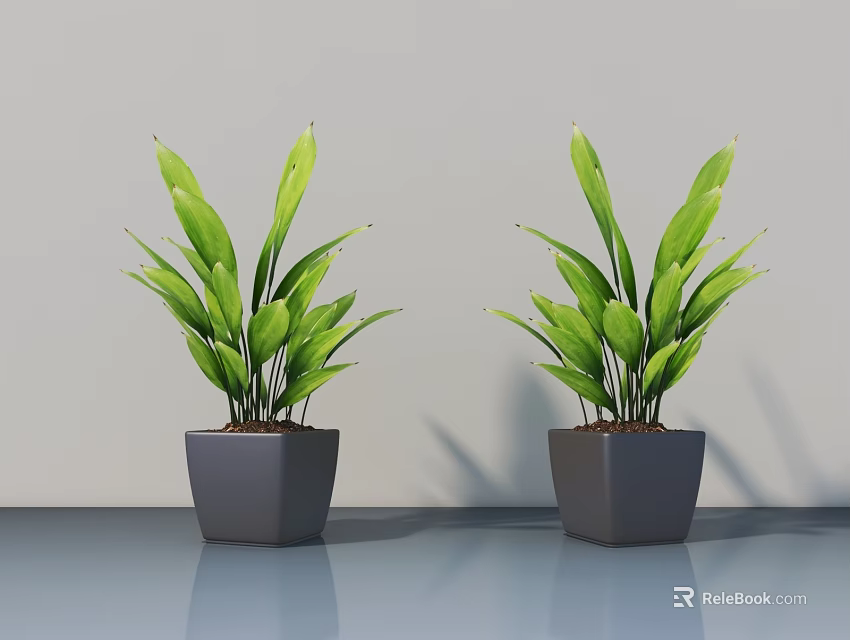 Two Bonsai Potted Plants in Gray Square Pots On Smooth Countertop With Light Gray Wall 3d model 