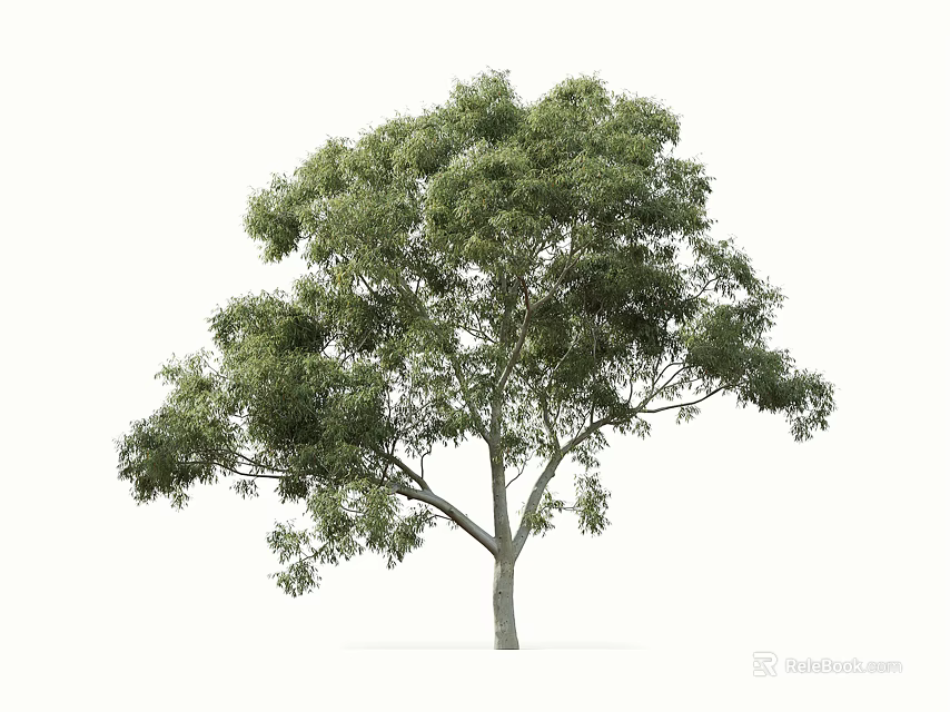 Single Lush Green Tree With Dense Foliage And Strong Trunk In Natural Form 3d model 