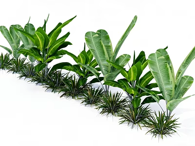 Lush Green Tree Pit With Diverse Tropical Plants And Foliage 3d model