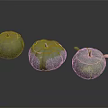 Three Green Pumpkins with Fresh Stems Smooth Surfaces and Natural Texture on Dark Background