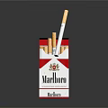 Marlboro Medium Cigarette Pack Open With Cigarettes Inside And Filter Tips