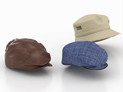 Brown Leather Beret Blue Fabric Flat Cap And Beige Cotton Cap Fashion Hats Collection 3d model