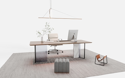 Modern Desk and Chair Combination Finished Desk Office Chair Chandelier Desktop Computer Carpet Green Plant 3d model