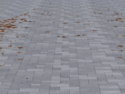 Gray Stone Pavement Texture With Scattered Brown Autumn Fallen Leaves 3d model