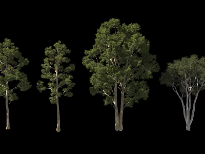 Arbor Trees In Various Sizes Shapes With Green Foliage On Black Background 3d model
