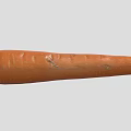 Fresh Long Orange Carrot with Smooth Surface and Natural Texture Details