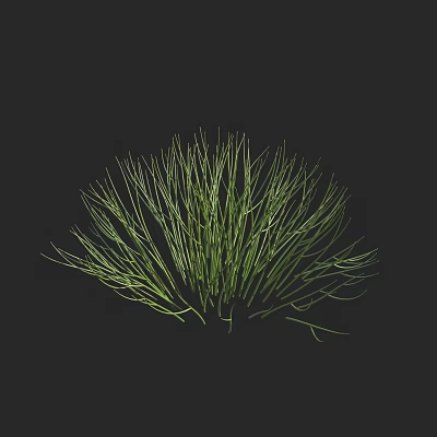 flowers and shrubs 3d model flowers and shrubs 3d model