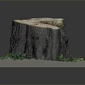 Natural Wooden Stump with Growth Rings and Green Foliage on Stone Base