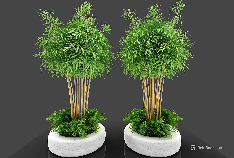 Two Bonsai Potted Plants With Green Leaves And Brown Stems In White Round Pots 3d model 