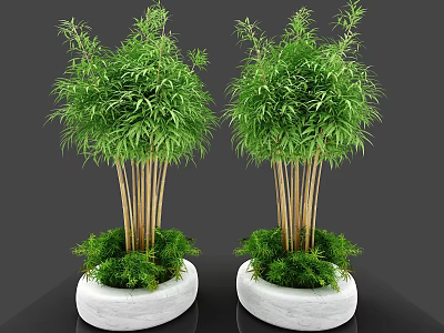 Two Bonsai Potted Plants With Green Leaves And Brown Stems In White Round Pots 3d model