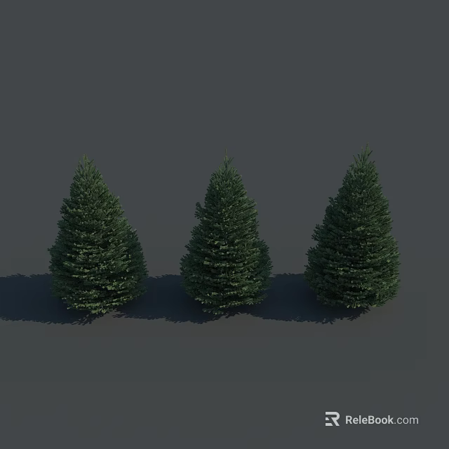Three Green Evergreen Trees With Dense Foliage Neatly Arranged Against Gray Background 3d model 