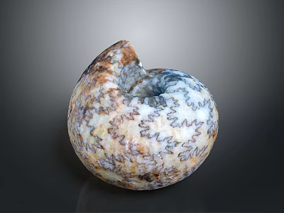 Natural Decorative Seashell as Daily Life Item with Spiral Shape and Colorful Patterns 3d model