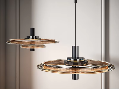 Modern Circular Pendant Lights With Metal Frame And Warm Illumination For Interior Spaces 3d model