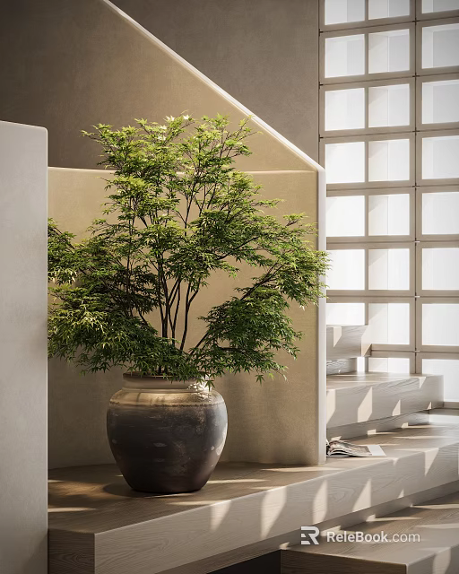 Elegant Bonsai Potted Plant With Lush Green Leaves In Ceramic Pot For Modern Interior 3d model 