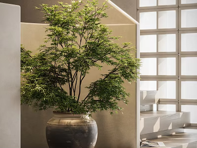Elegant Bonsai Potted Plant With Lush Green Leaves In Ceramic Pot For Modern Interior 3d model