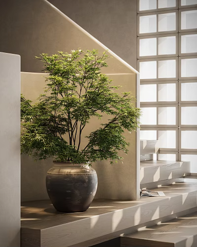 Elegant Bonsai Potted Plant With Lush Green Leaves In Ceramic Pot For Modern Interior 3d model