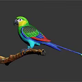 Modern Parrot Xuan Feng Parrot Budgie Shang Parrot 3d model