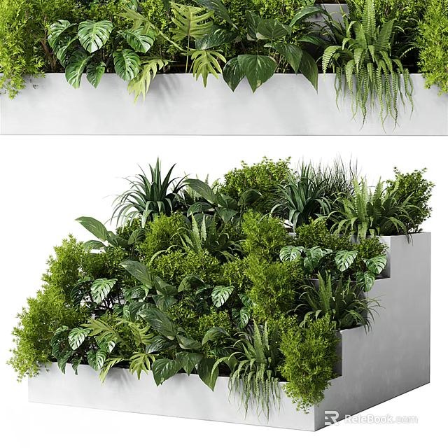 Lush Green Plants In White Tiered And Long Planters With Various Leaf Shapes 3d model 