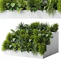 Lush Green Plants In White Tiered And Long Planters With Various Leaf Shapes