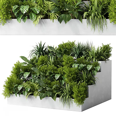 Lush Green Plants In White Tiered And Long Planters With Various Leaf Shapes 3d model