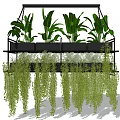 Multi Tiered Hanging Planter With Lush Trailing Green Foliage And Tropical Plants