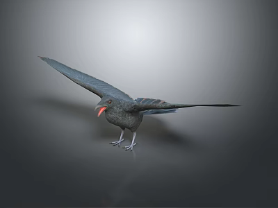 Black Bird With Spread Wings And Red Beak Standing On Gray Background 3d model