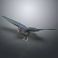 Black Bird With Spread Wings And Red Beak Standing On Gray Background 3d model