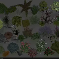 Various Colorful Flowering Plants and Green Shrubs with Decorative Stones