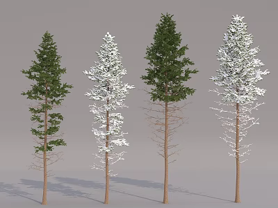 Varied Seasonal Arbor Trees With Green Foliage Snow Covered And Bare Branches 3d model