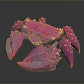 Pink Purple Gradient Crab With Blue Eyes And Spiky Textured Shell 3d model