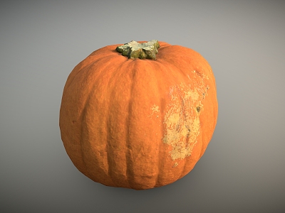 Pumpkin Vegetables Old Pumpkin 3d model