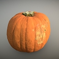 Pumpkin Vegetables Old Pumpkin 3d model