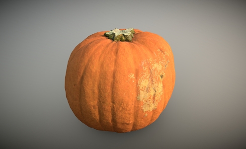 Pumpkin Vegetables Old Pumpkin 3d model