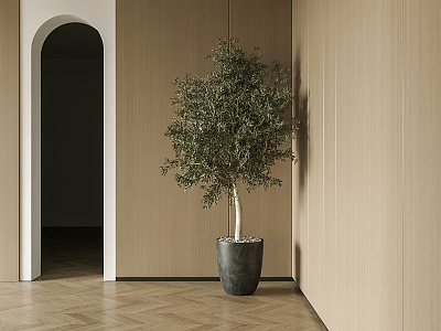 modern potted plant model