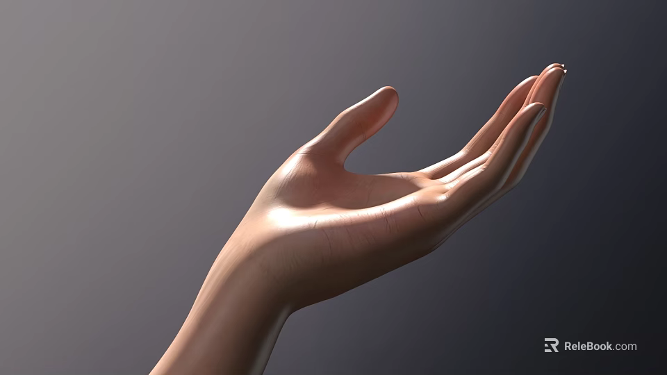 Woman's Extended Hand Showing Open Palm With Smooth Skin And Warm Glow 3d model 