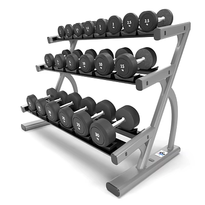 Fitness Equipment Multi Tier Dumbbell Rack With Various Weight Plates For Gym Use 3d model