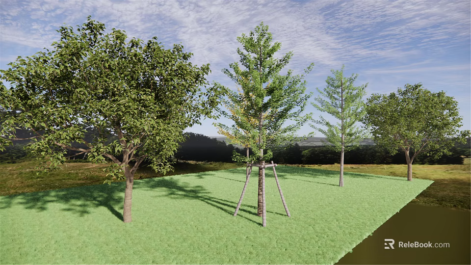 Tall Arbor Trees With Support Structures On Green Lawn Under Blue Sky 3d model