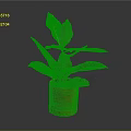 Vibrant Variegated Leaf Houseplant In Red Textured Pot On Gray Background