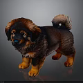 Adorable Brown And Black Fluffy Puppy With Curly Tail Standing On Dark Surface