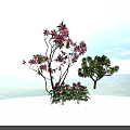 Arbor With Pink Flowers Slender Branches And Lush Green Leaves Against Blue Sky Background