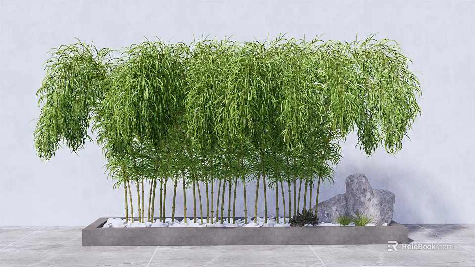 Lush Bamboo With Green Leaves Tall Stems And White Pebbles Gray Stone Decor 3d model 