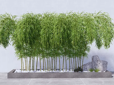 Lush Bamboo With Green Leaves Tall Stems And White Pebbles Gray Stone Decor 3d model