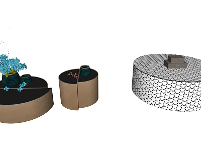Modern Circular Coffee Tables Featuring Decorative Plants Honeycomb Texture And Storage Compartments 3d model