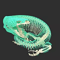 Digital Green Reptile 3D Model With Skeleton Structure And Mesh Details