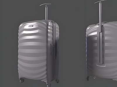 Luggage Case Luggage Suitcase Luggage model