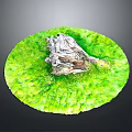 Natural Wooden Stump Featured On Circular Green Grass Outdoor Landscape
